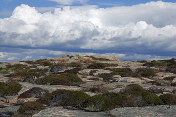 Fototapeta na wymiar Landscape with granite rocks at the swedish Baltic Sea coast - Ramsvik, Bohuslaen, Schweden