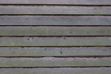 Obraz premium längliche grau braune holzlatten mit grünem ansatz geeignet als hintergrund mit struktur für textur