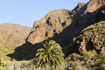 Barranco de Guayadeque, Gran Canaria, Spain, Europe