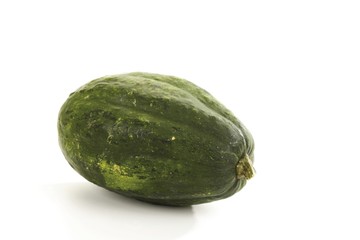 Gourd (Cucurbita)