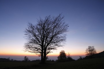 Fototapeta premium Morning mood at Platzer Kuppe, Rhoen, Franconia, Bavaria, Germany, Europe