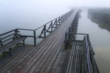 Pier at the Federsee in a mist, Bad Buchau, Upper Swabia, Baden-Wuerttemberg, Germany, Europe