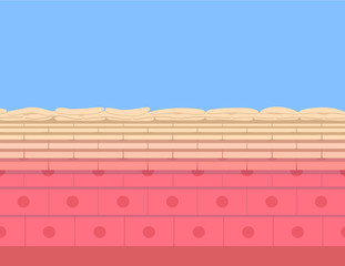 skin background vector , cell anatomy