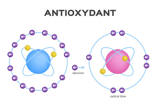 Free Radical And Antioxidant Vector . Antioxidant Donates Electron To Free Radical . Infographic