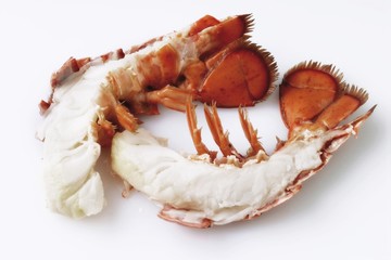 Halved cooked lobster