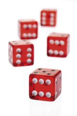 Red dice