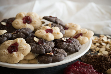 Closeup of Deccorated Holiday Sugar Cookies