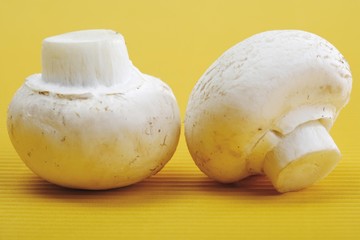 Button Mushrooms, Champignons (Agaricus)