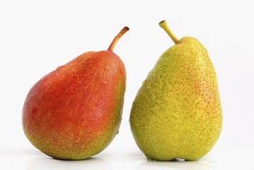 Two pears, red and green