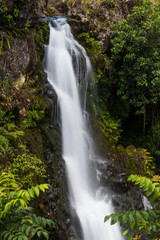 Fototapeta na wymiar Waterfall on the road to Hana in Maui, Hawaii