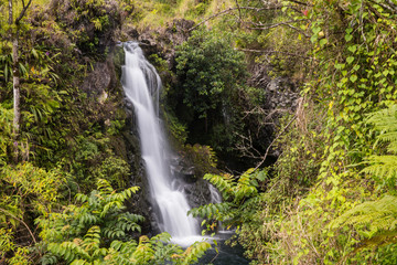 Fototapeta na wymiar Waterfall on the road to Hana in Maui, Hawaii