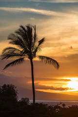 Palm Trees at an island sunset