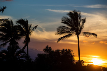 Fototapeta na wymiar Palm Trees at an island sunset