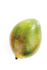 Mango (Mangifera indica), Israeli