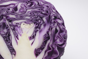 Obraz premium Purple Cabbage