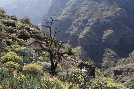 El Azadoe near Imada, Barranco de Guarimiar, La Gomera, Canary Islands, Spain, Europe