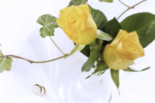 Wedding rings, floribunda roses and an ivy tendril