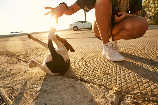 A Girl Playing With A Homeless Puppy