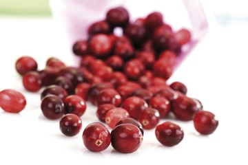 American Cranberries (Vaccinium macrocarpon)