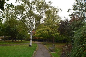 Park View