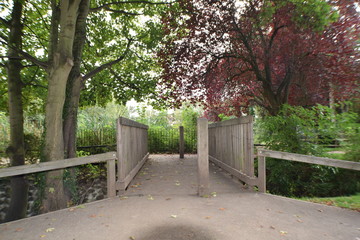 Wood Bridge And Trees