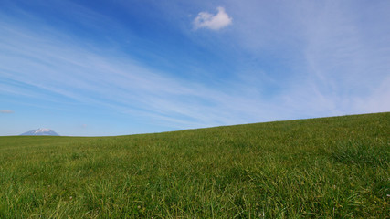 草原と羊蹄山