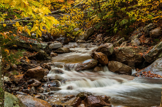 Babbling Brook