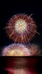 湖畔から見る諏訪湖の花火