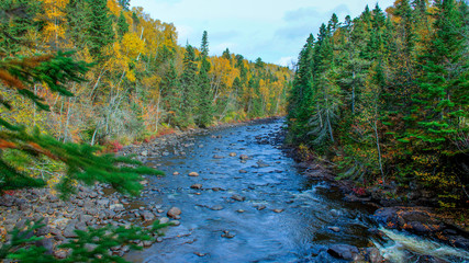 River flow and Autumn colors
