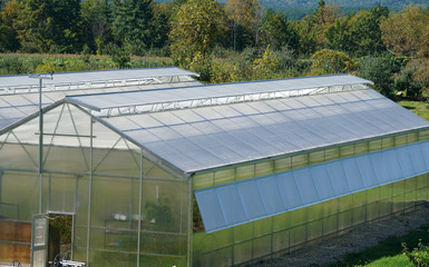 Naklejka premium Green house exterior in the farm