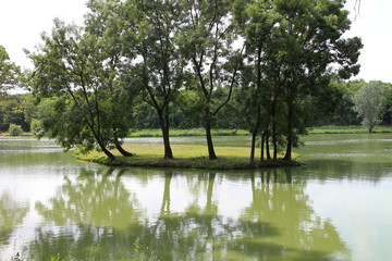 Island with trees in garden of Classicist manor house in Dég, Hungary