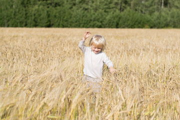 Fototapeta na wymiar Blond Slavic happy kid boy at a ripe rye wheat field, autumn harvest, Russian forest, the Urals