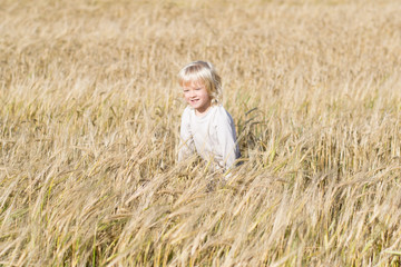 Naklejka na ściany i meble Happy blond child has fun in the rye field, ripe ears of autumn harvest ready to crop