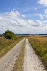 Obraz premium scenic bridleway