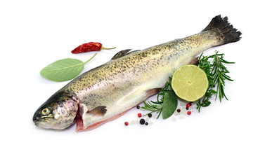 Fisch Limette