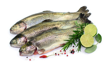 Drei Fische und Limette