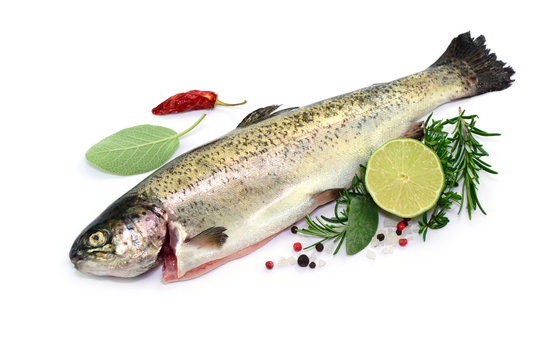 Fisch Limette