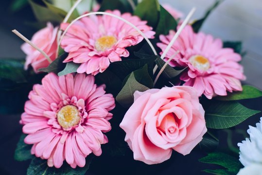 Pink Gerbera Daisies And Rose