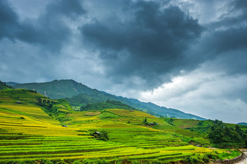 Fototapeta premium Piękny krajobraz pól ryżowych w Mu Cang Chai, Wietnam