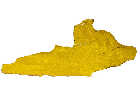 Goldene Rinde der Plantane