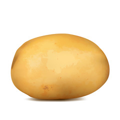 Raw potatoes on a white background. Vector illustration