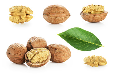 Walnuts, kernel walnut and leaves isolated on white background. Collection.