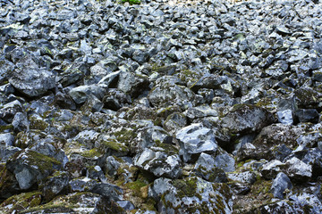 a picture of an Pacific Northwest granite rock scree field
