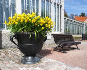 Flowers in front of a greenhouse.