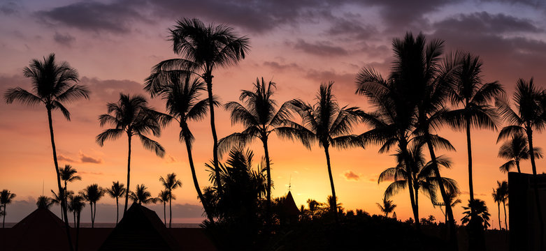 Silhouette sunset tropical palm trees hawaii. Summer travel holidays photo from sea ocean water cloudy at Big Island, USA