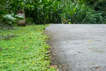 Wet asphalt road with grass on side way