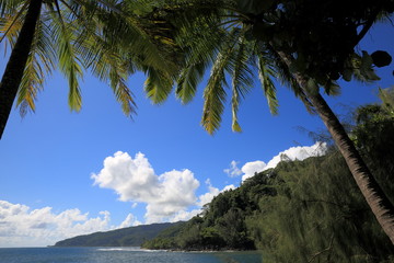 タヒチ島