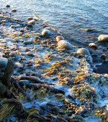 Seaside winter panorama from Finland