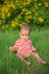 Asian baby sitting on green grass