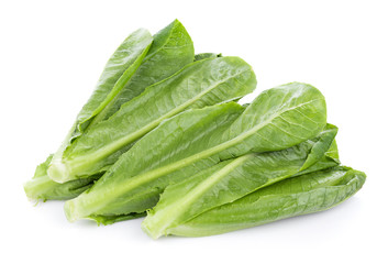 fresh cos lettuce isolated on white background